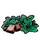 Squares of Chocolate and Mint Leaves