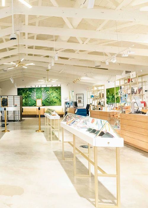 Liberty Massachusetts Dispensary