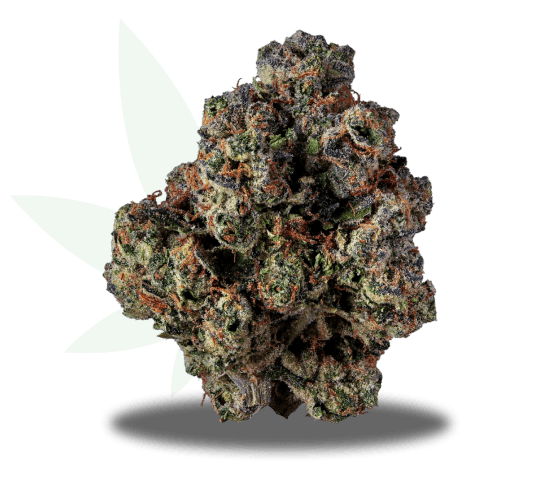 frosted-jungle-img Frosted Jungle Strain