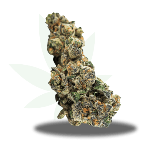 gator-breath-img Liberty Beach Center dispensary exterior building side view