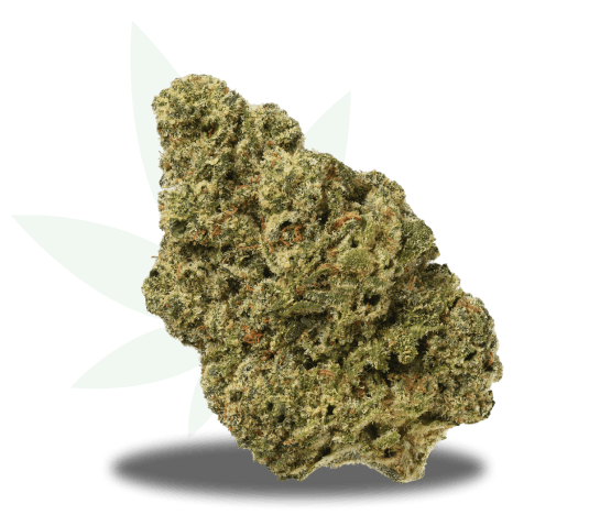 limefire-img Limefire Skunk Strain