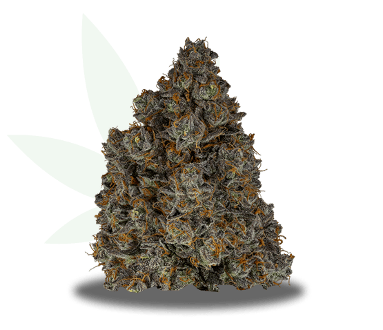 mac-img Mac and Cheese Strain