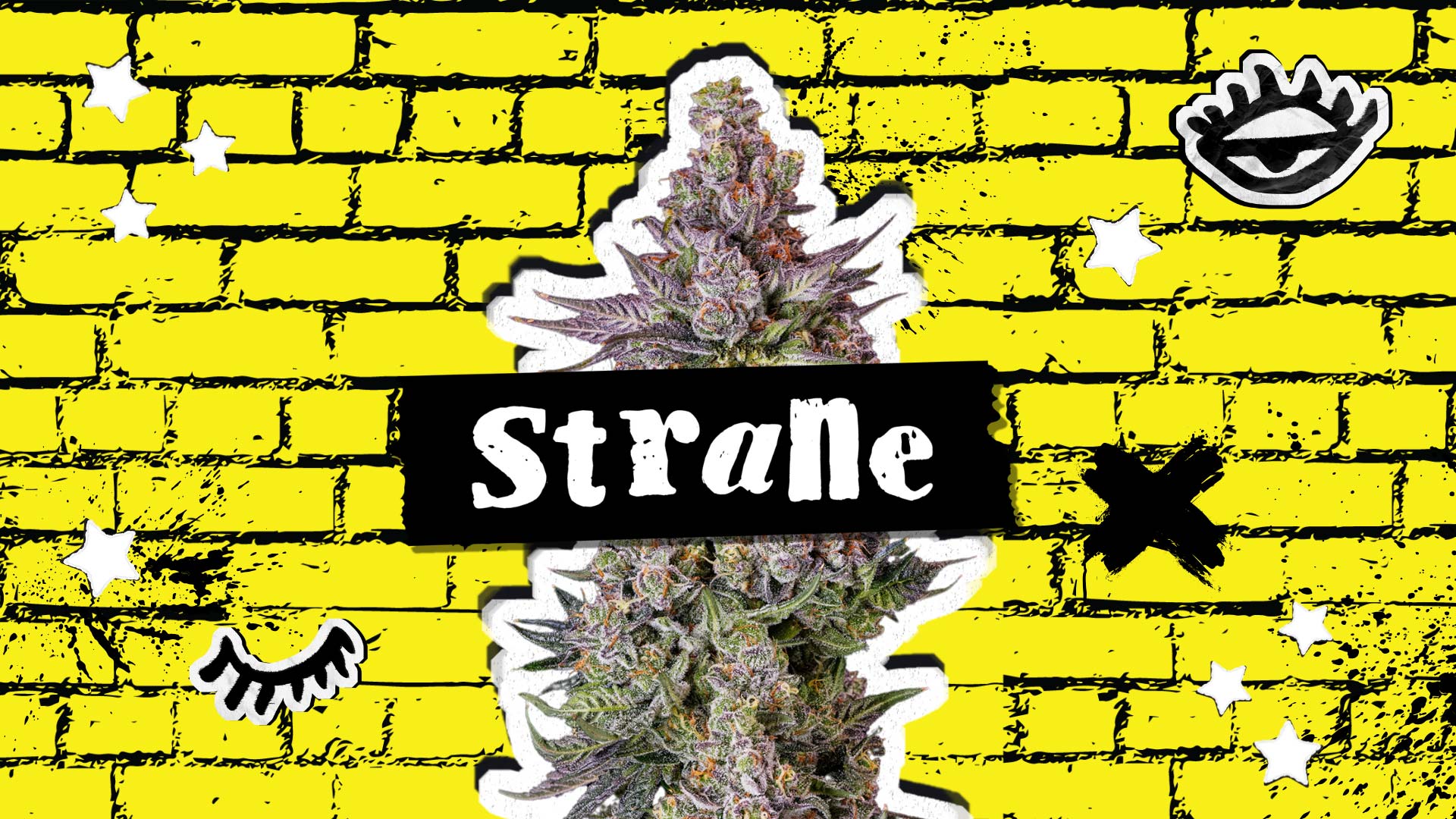 Strane - Liberty Cannabis