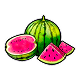 Water‘yer Melon
