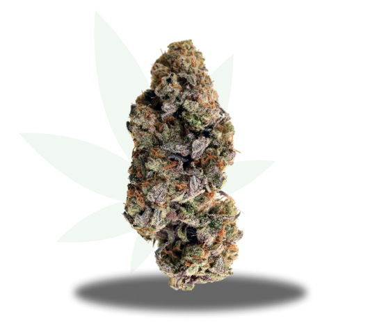 Grape Fritter Strain