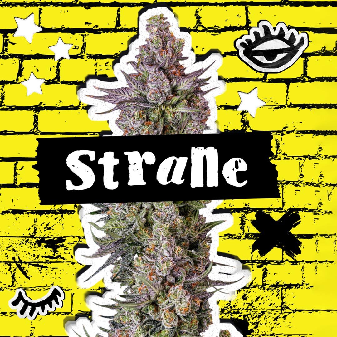 Strane