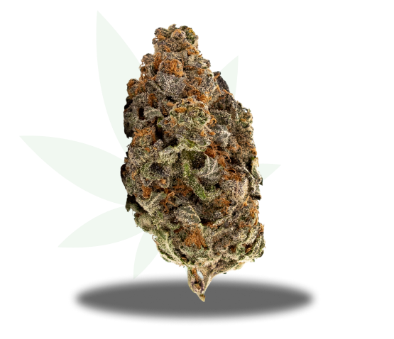 Chimera Junky Strain