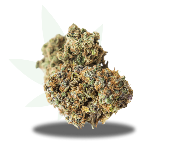 Highland OG Strain Nug