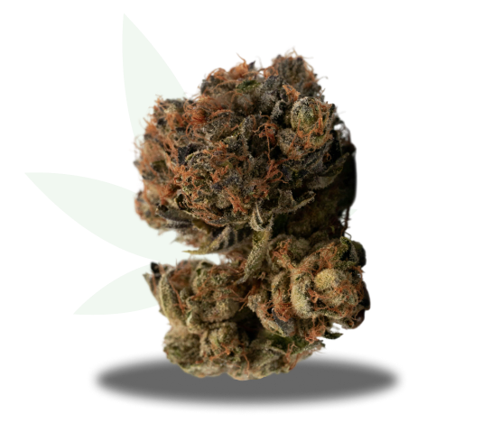 Project 9 Strain Nug