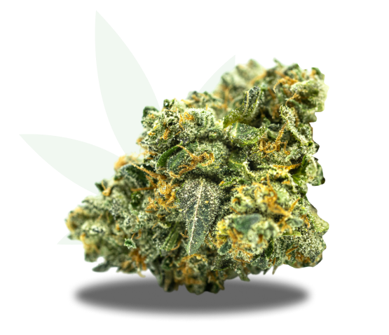 Zashimi Strain Nug