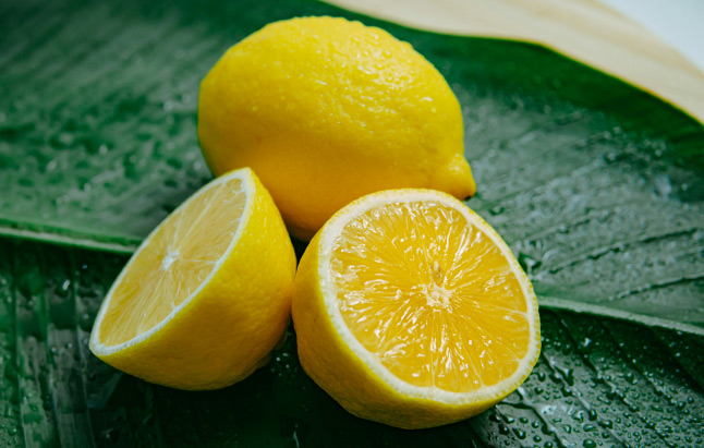 A lemon and a half lemon positioned on a leaf, emphasizing their freshness